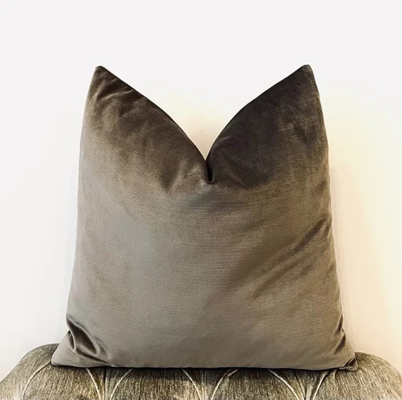 Luxury Taupe Color Velvet Pillow Cover Pillow Velvet Pillow - Etsy | Etsy (US)