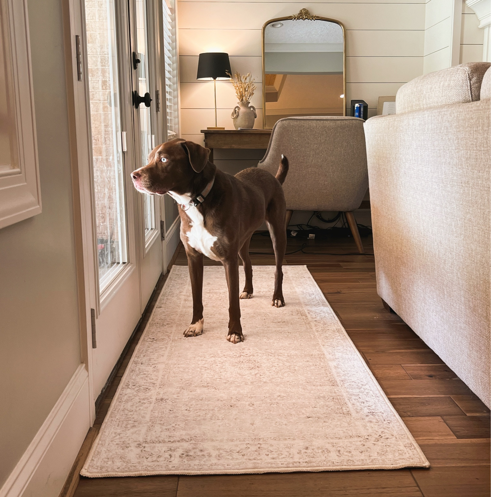 Sam’s runner rug
Love this rug! It’s so soft & DOESNT MOVE! I hate dealing with rug pads etc! Buying another one for our bathroom! 
Sam’s club finds, home decor, rubber rugs 

#LTKhome #LTKSeasonal #LTKunder50