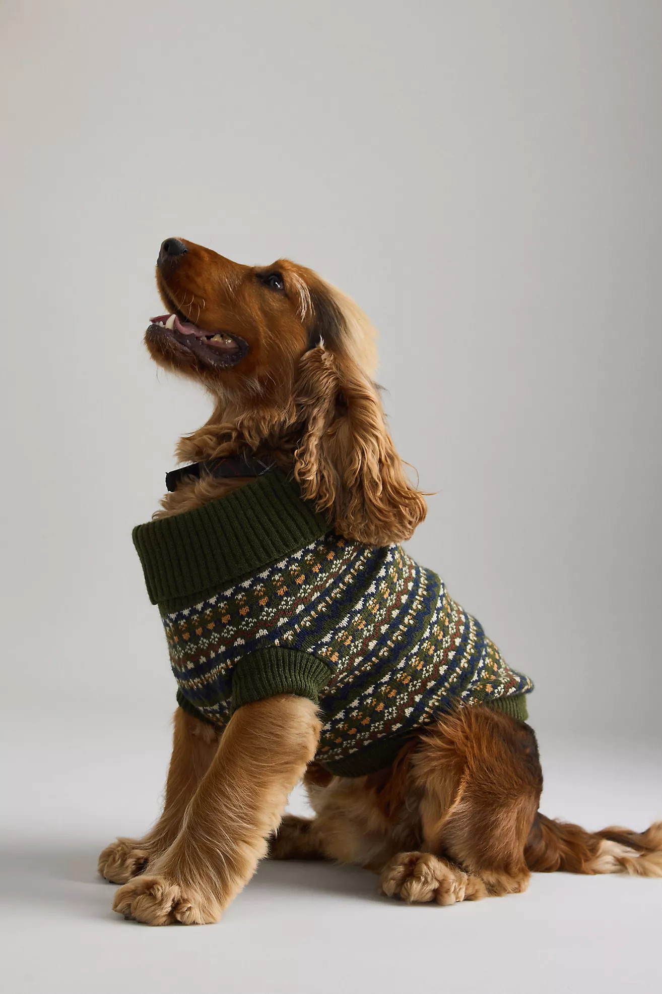 Pull pour chien Fair Isle Barbour Marlow | Anthropologie (EU)