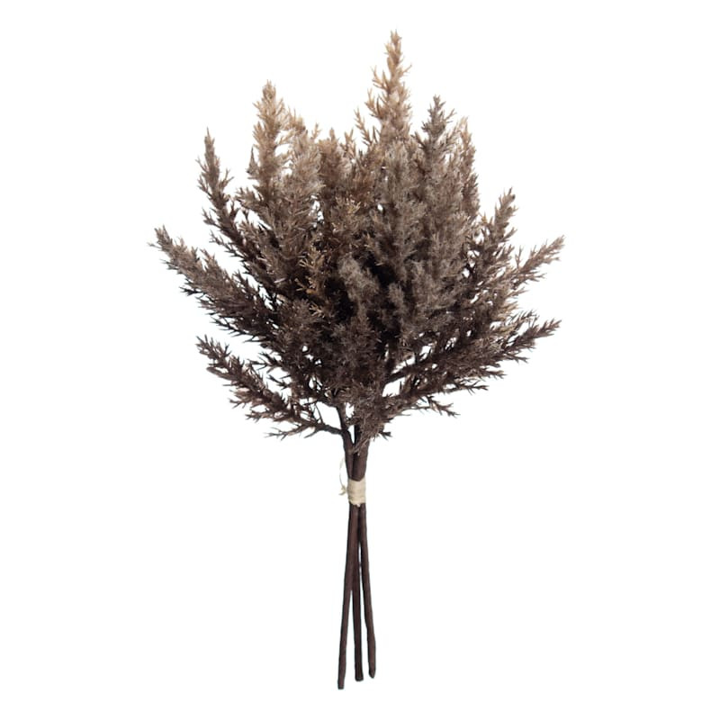Pampas Grass Bundle, 14" | At Home