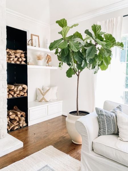The fiddle leaf tree in the living room brings so much life to our living space. Farmhouse Living | Primary Living Room |Living Room Ideas | Interior Design | Fiddle Leaf Tree | Plants | Indoor Plants | Firewood 

#livingroom #farmhouseliving #livingroomdecor #livingroomideas #livingroominspo #primarylivingroom #interiordesign #homedesign


#LTKFind #LTKhome #LTKfamily