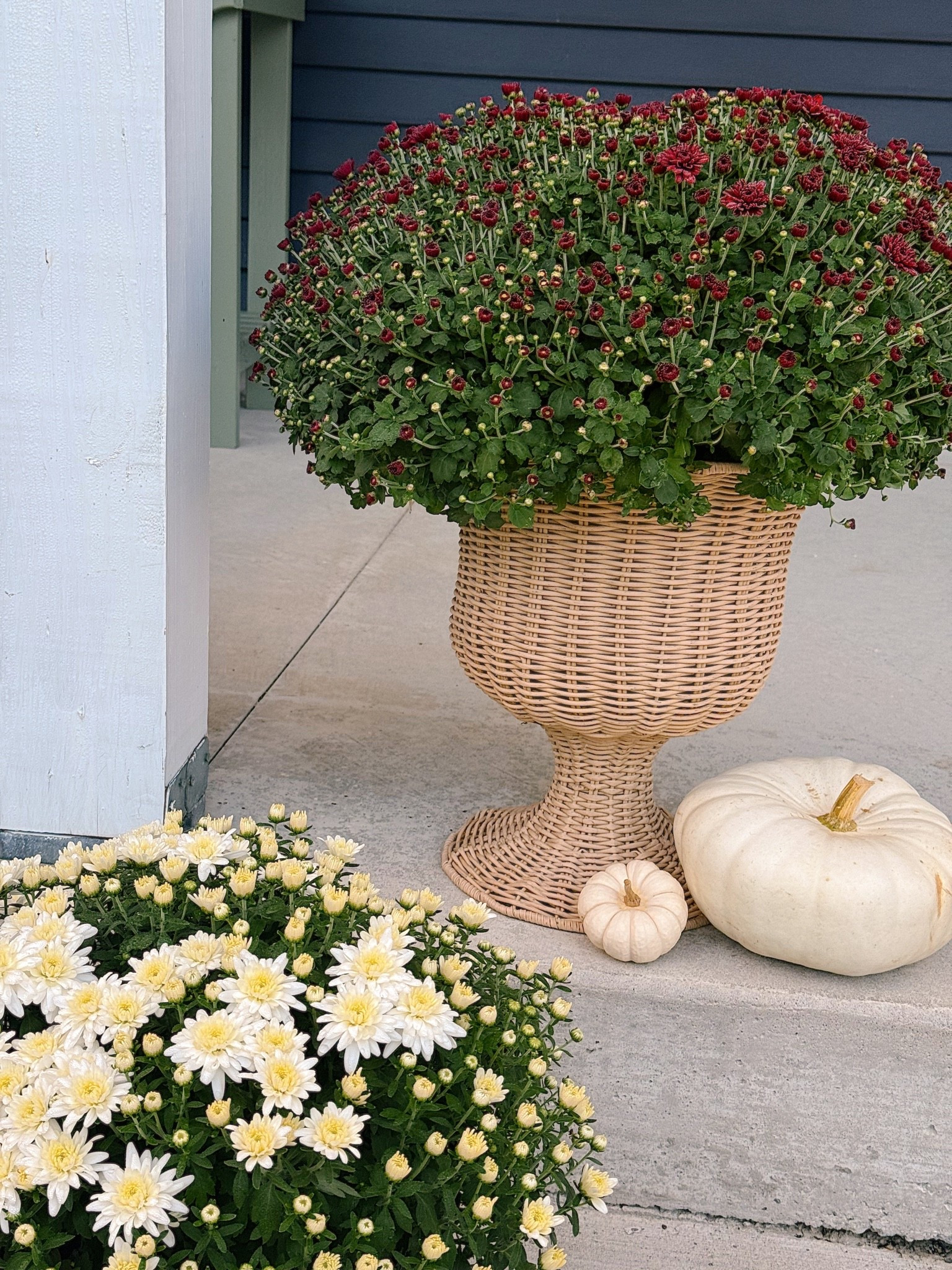 Loving these rattan planters for my mums! I use this in every season and they’ve held up so well. 🤎🍂