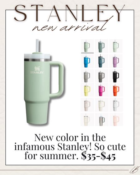New color in the Stanley tumbler!

#LTKfindsunder50 #LTKfitness #LTKsalealert