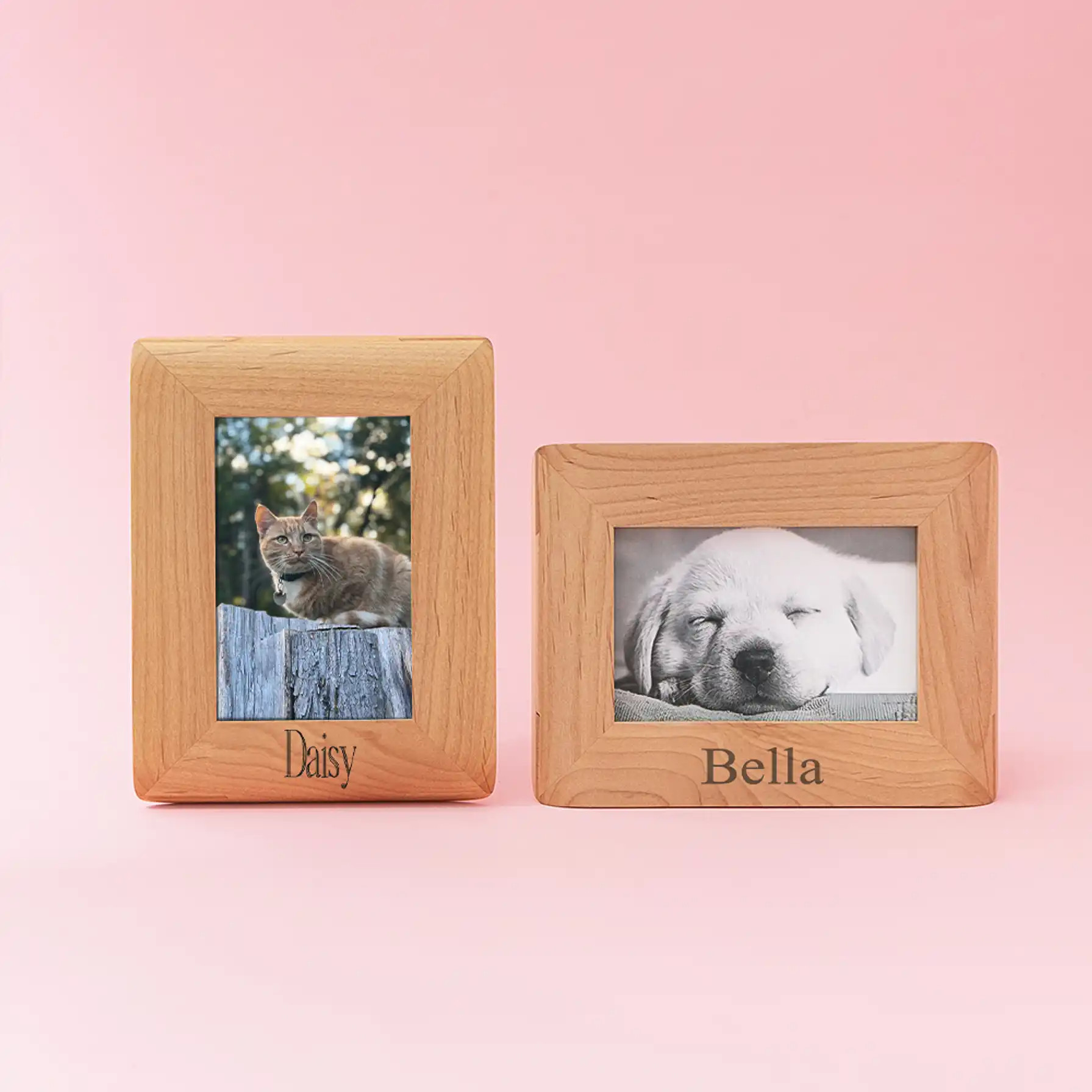Personalized Pet Photo Frame | Marleylilly