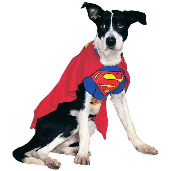 Rubies Superman Dog Costume | Target