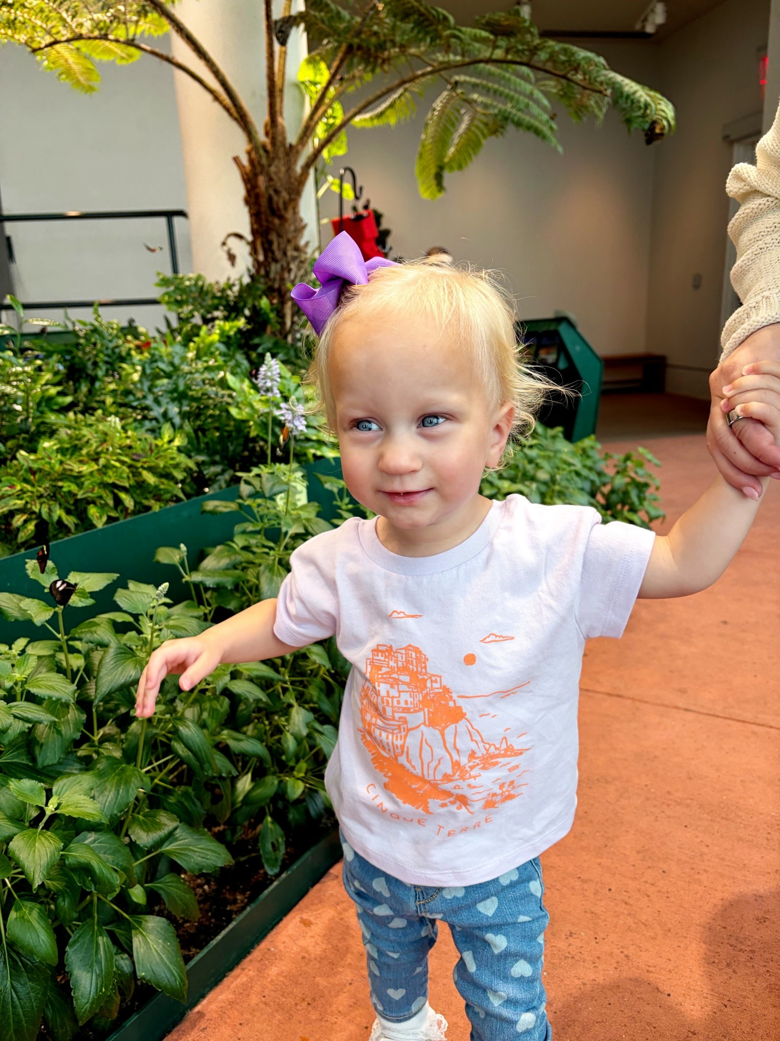 Toddler girl outfit / lace socks and how are Amazon finds. Linked shirt, jeans and sneakers #toddlermom #toddleroutfit 

#LTKTravel #LTKmomlife #LTKKids