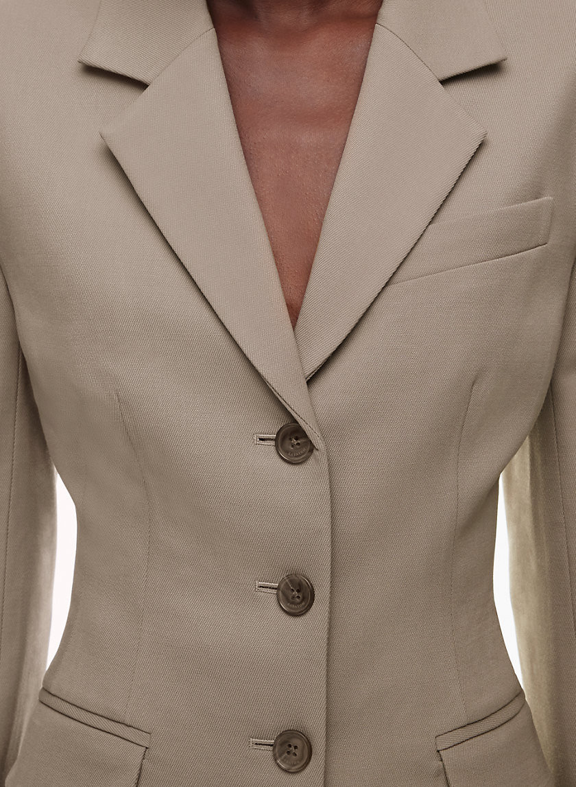 Aritzia Babaton Women's Standout Blazer in Felted Taupe size 2 | Aritzia