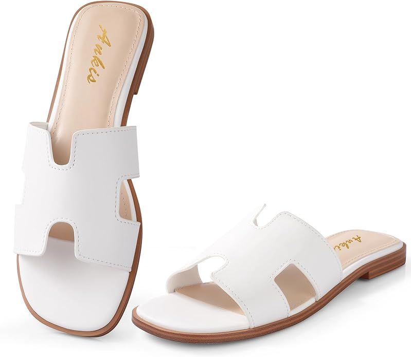 Ankis Black Brown White Biege Gold Women's Flat Sandals Comfortable Women's Slide Sandals Fashion... | Amazon (US)