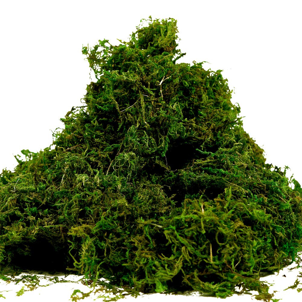 Fake Moss for Crafts, Artificial Green Moss for Potted Plants Centerpieces Decor (3.5OZ) | Amazon (US)