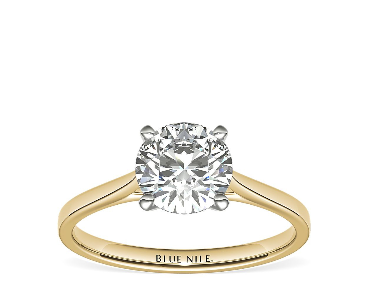 Petite Cathedral Solitaire Engagement Ring in 14k Yellow Gold | Blue Nile