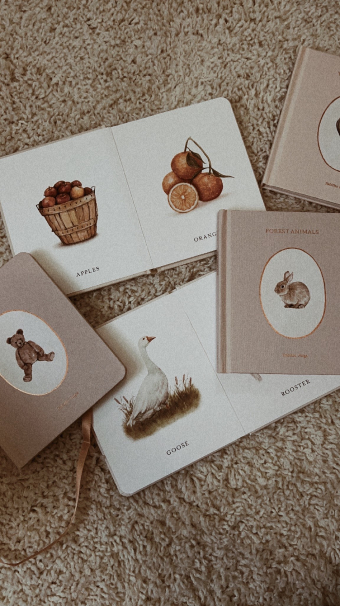 -MY LITTLE LIBRARY-
Neutral educational book set for baby 🧸🤎


#LTKFamily #LTKFindsUnder50 #LTKKids