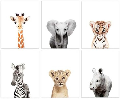 Set of 6 Baby Animal Nursery Prints 8"x10" (UNFRAMED) (6 Safari Prints) | Amazon (US)