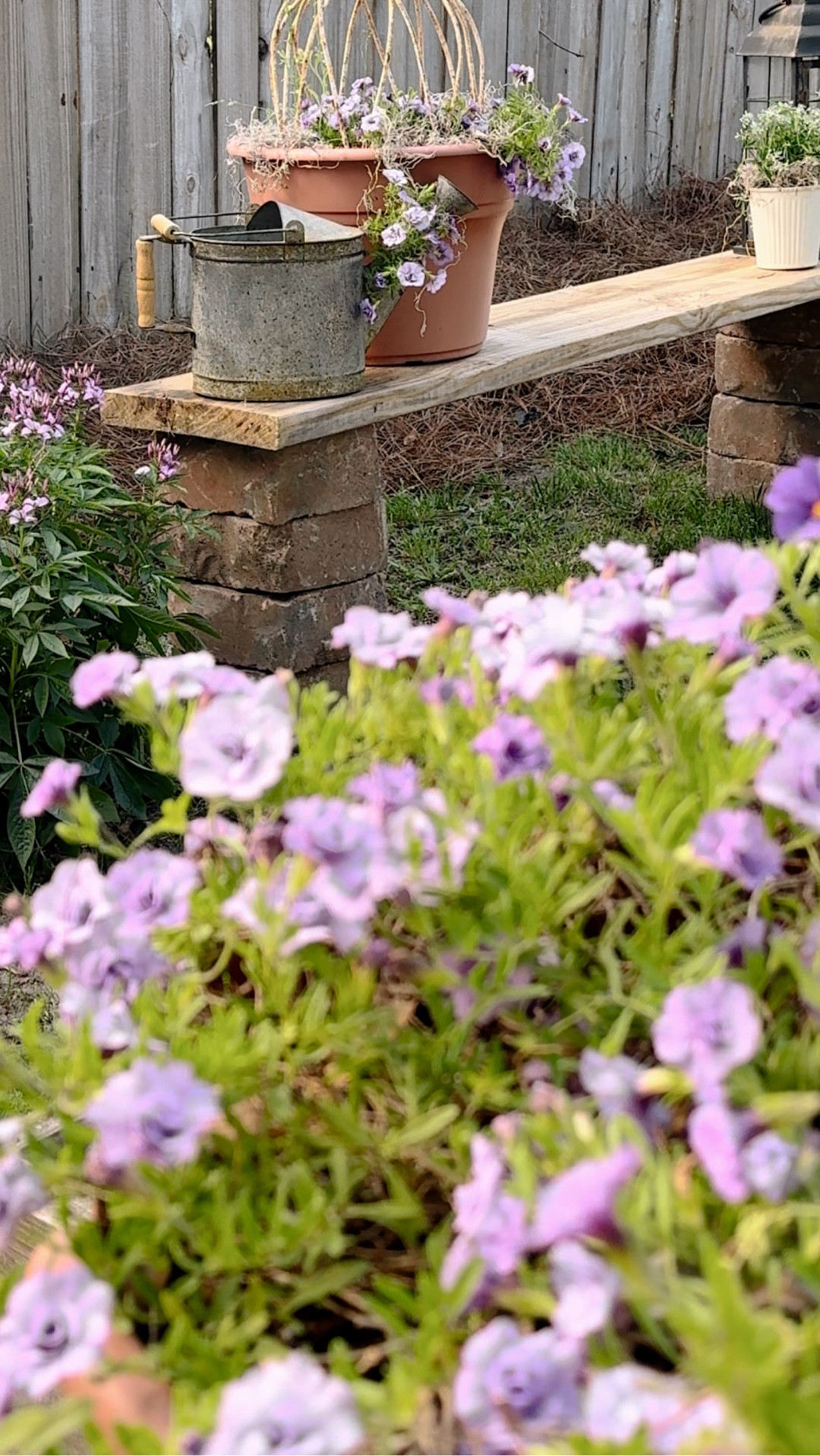 A cozy cottage garden. 🩷

#LTKSeasonal #LTKFindsUnder100 #LTKHome