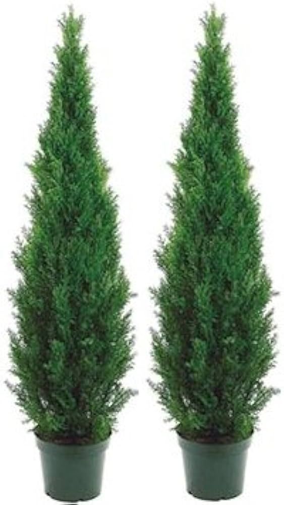 Two 5 Foot Outdoor Artificial Cedar Topiary Trees Potted Plants Two Peace Construction | Amazon (US)