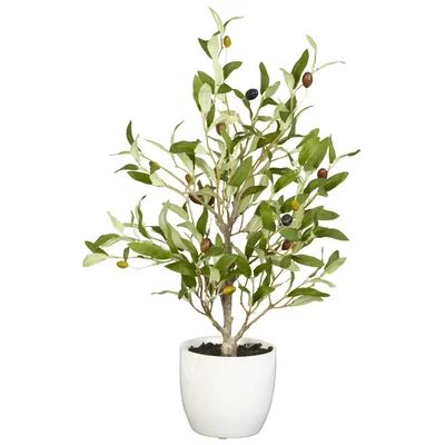 Olive Silk Desk Top Plant in Pot | Wayfair North America