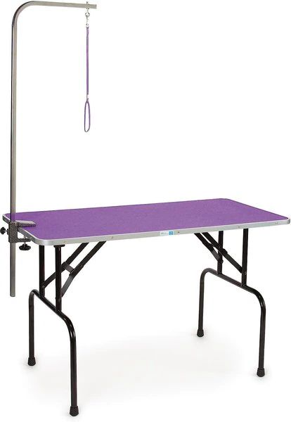 Master Equipment Dog Grooming Table with Arm | Chewy.com