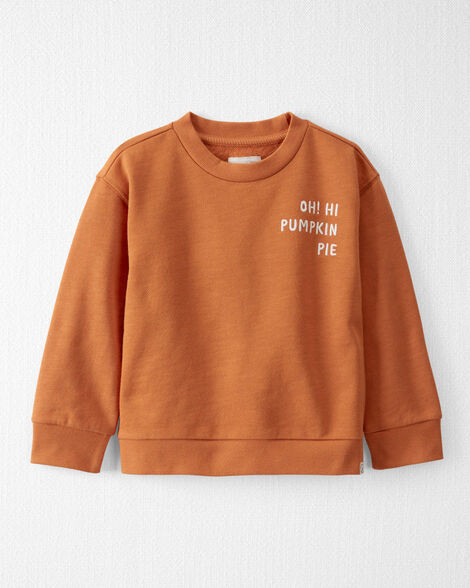Toddler Organic Cotton Pumpkin Pie Sweatshirt | Carter's Inc