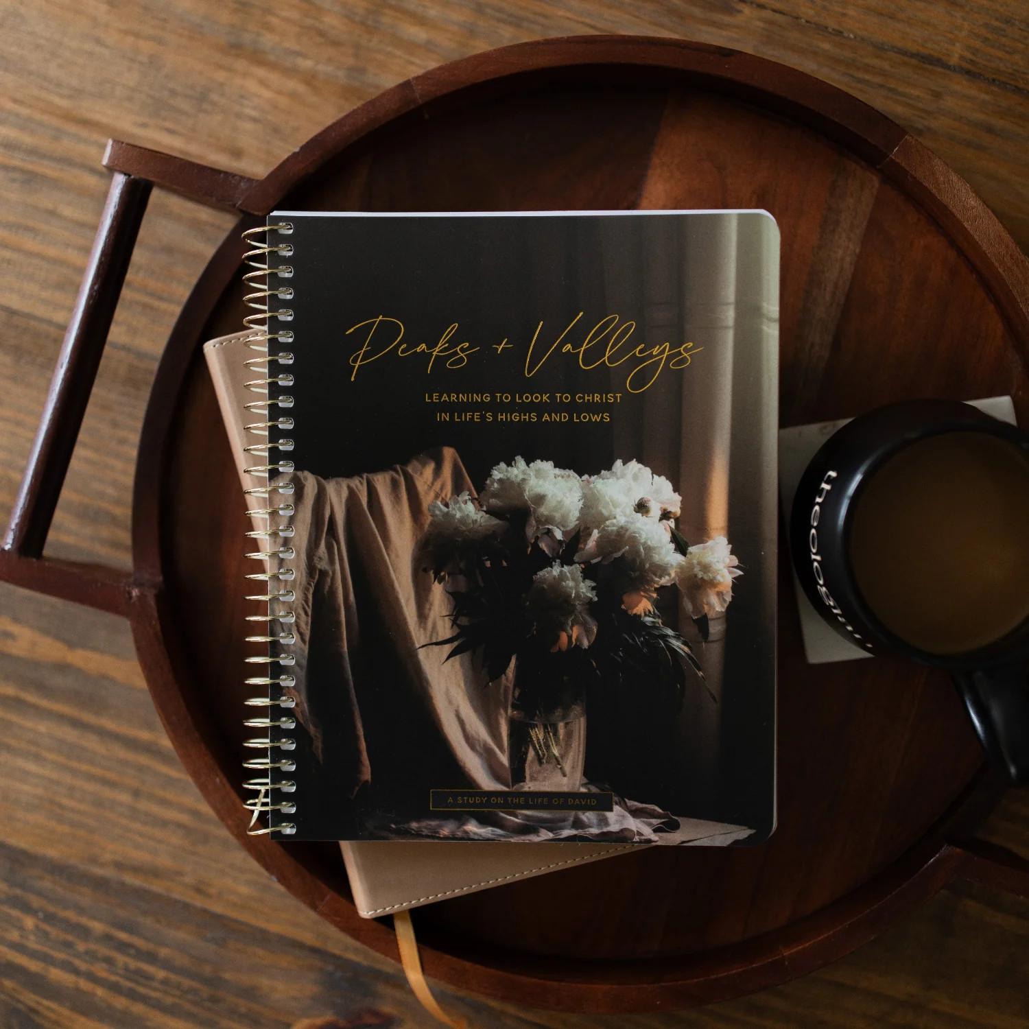 Peaks and Valleys | A Study on the Life of David | The Daily Grace Co.