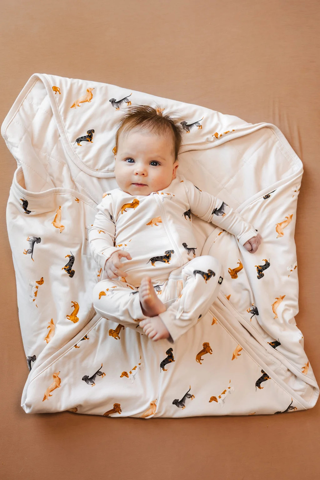Baby Blanket in Dachshund 1.0 | Kyte Baby