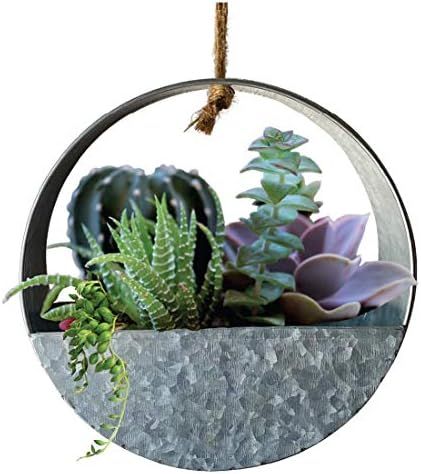 Lily’s Home Indoor Wall Hanging Circular Planter for Succulents, Cacti, Herbs, Faux Plants, Galvaniz | Amazon (US)