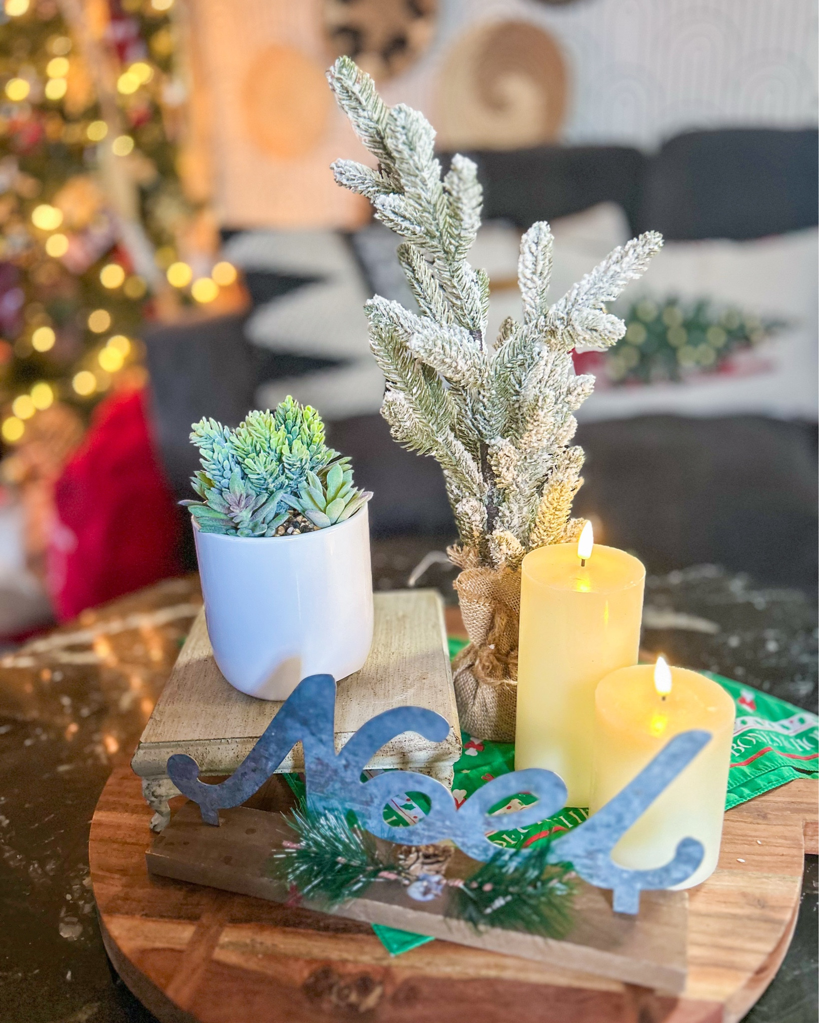 Power Plant Faux Succulent Charger

#LTKGiftGuide #LTKHome #LTKHoliday