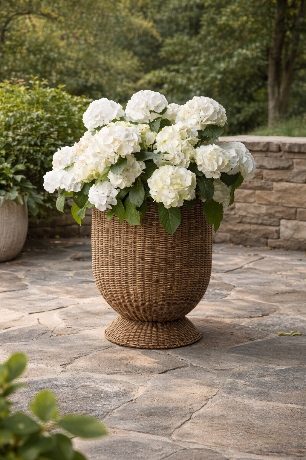 Woven Walmart planter back in stock! Good size and it’s under $45 🙌

#LTKSeasonal #LTKHome