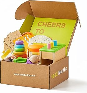 Tiny Land Montessori Toy Set for Babies 1 Year Old Thinker Play Kit- 5-in-1 Wooden Learning Toys ... | Amazon (US)