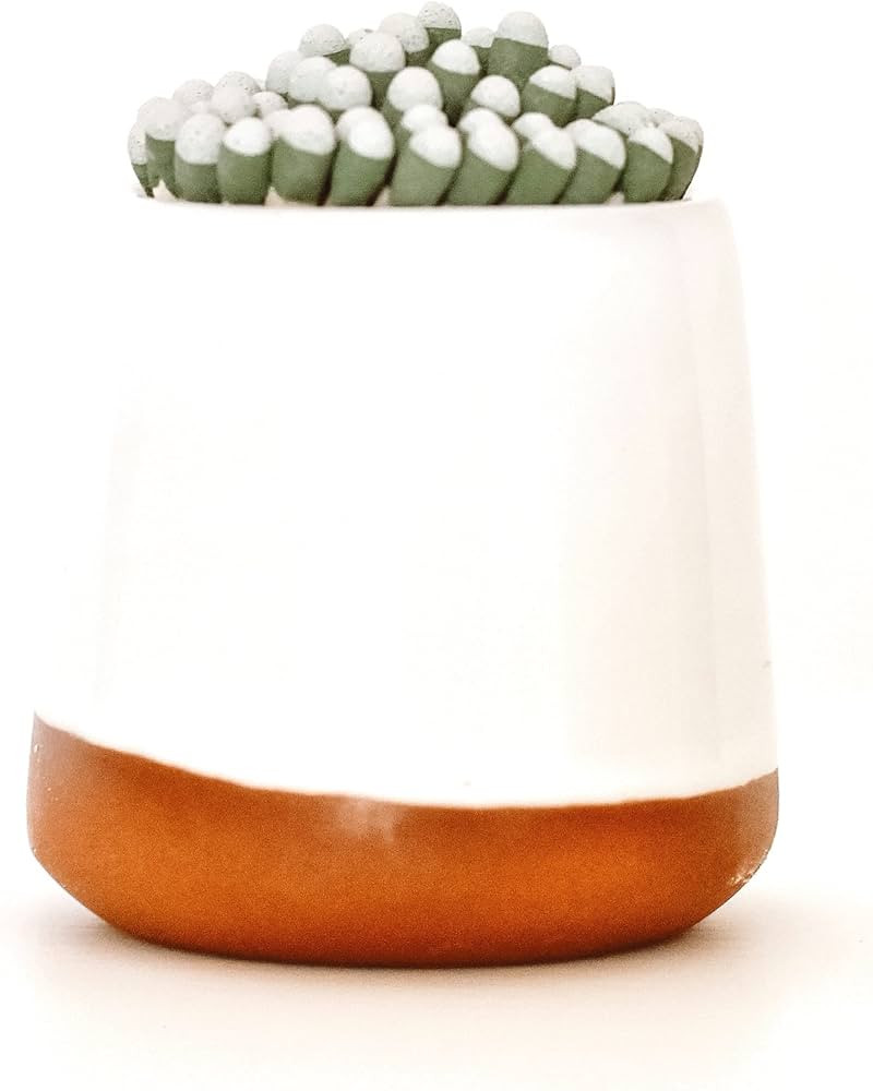 Nordic Cocoon Match Striker Holder - Matches Holder with Terracotta Stone Match Striker -Bathroom... | Amazon (US)