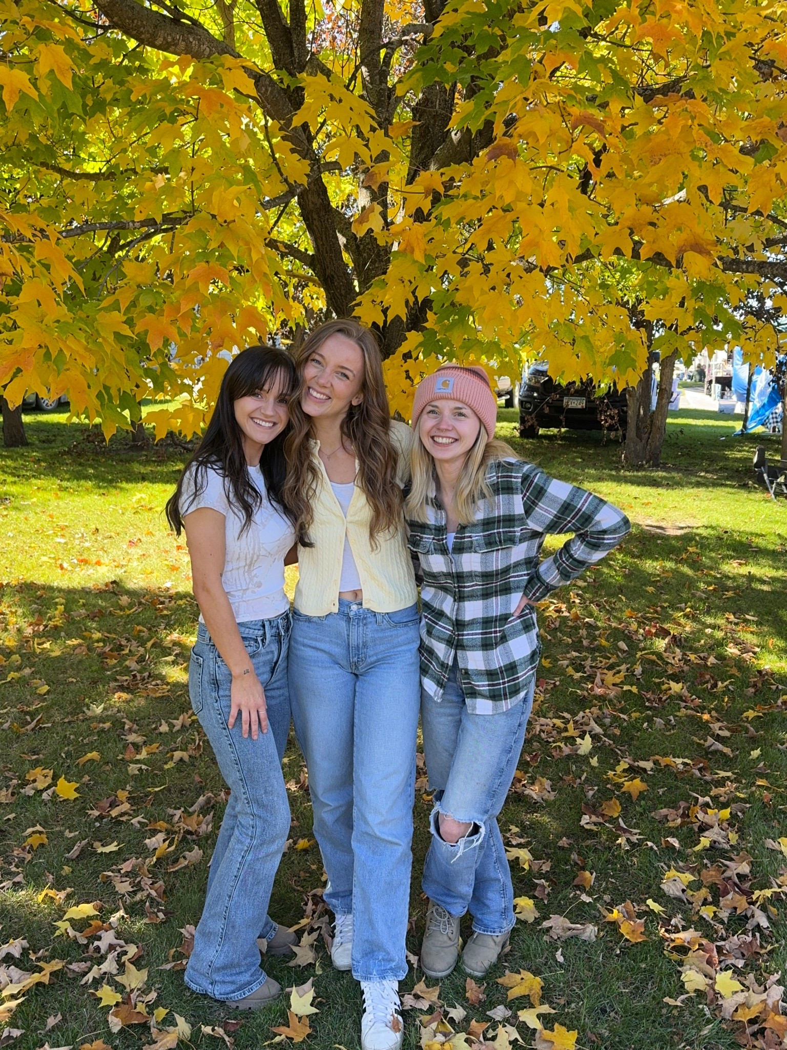 My everyday go-to Levi’s!! Linked similar wash but same style! Butter yellow cardi is from Brandy Melville but linked similar! #LTKFallSale 

#LTKPetite #LTKSeasonal