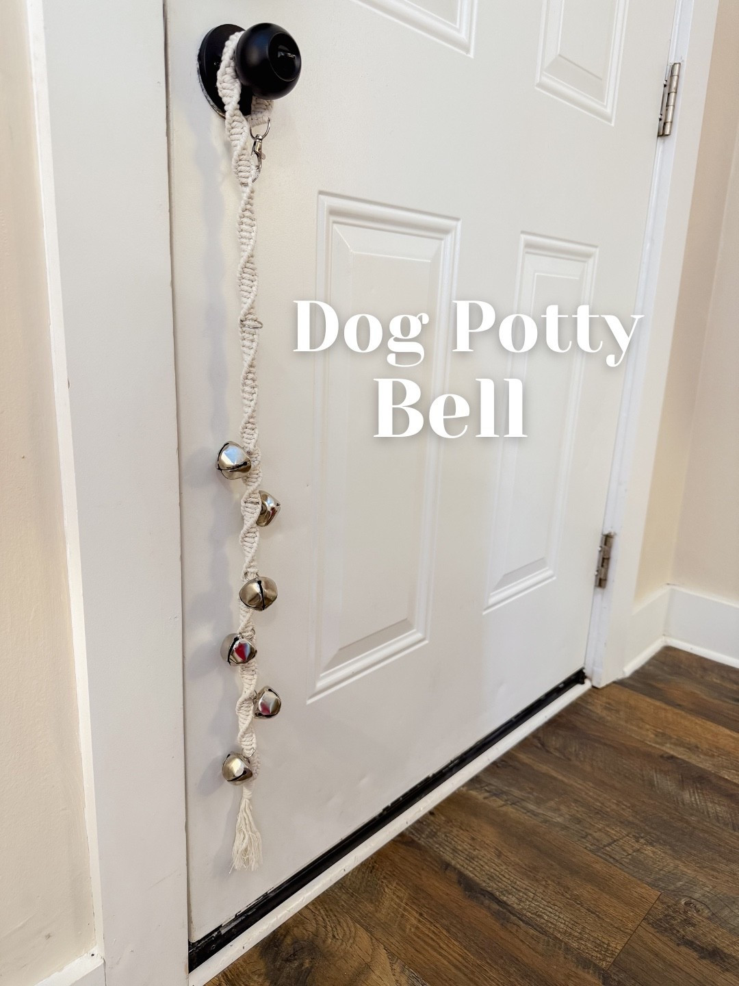 Potty training bell for dogs and puppies for the door 🐶

#LTKHome #LTKdayinmylife #LTKmomlife