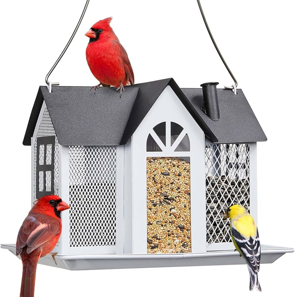 Kingsyard Bird Feeder House for Outside, Metal Mesh Wild Bird Feeder with Triple Feeders for Finc... | Amazon (US)