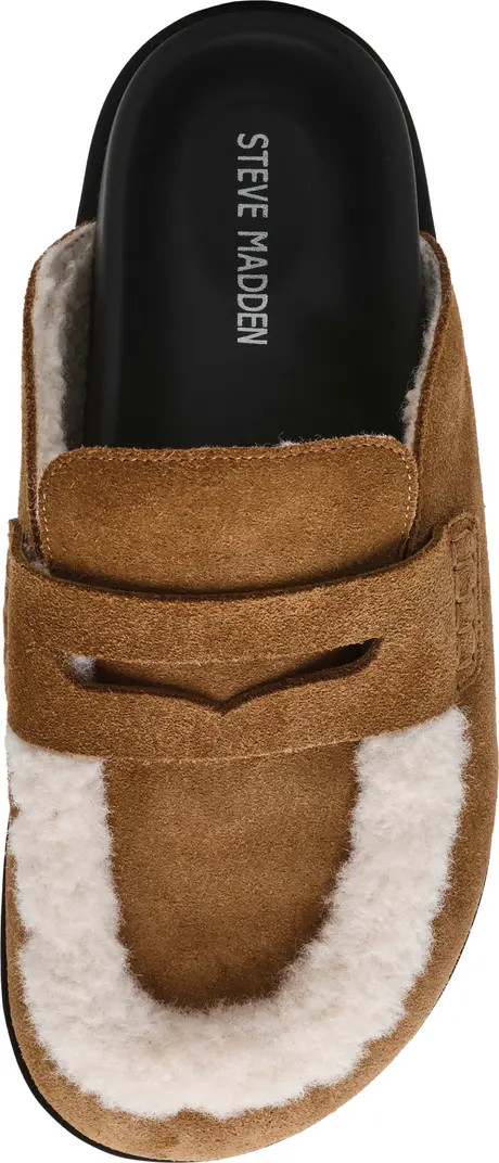 Steve Madden Tomlin Faux Fur Trim Mule (Women) | Nordstrom | Nordstrom