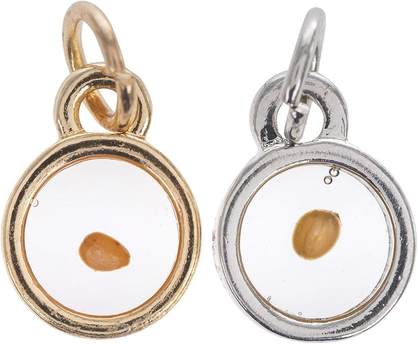 Hobby Lobby Charm Me Mustard Seed Charms – Hope & Faith Mustard Seed Charms for Bracelets & Nec... | Amazon (US)