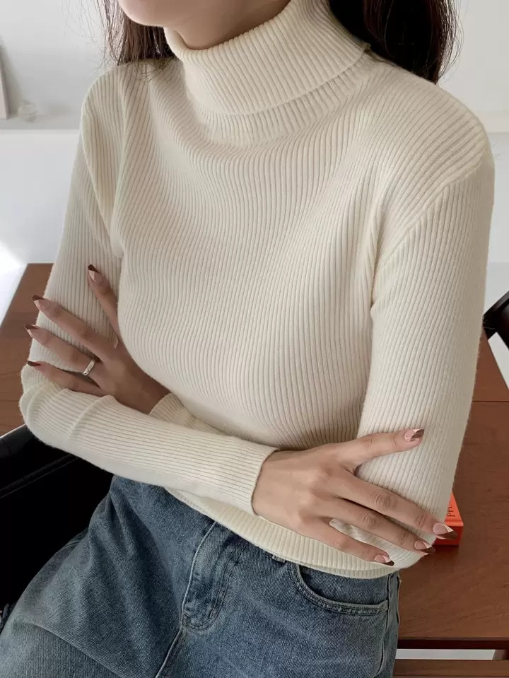DAZY Nova Chegada Suéter De Gola Alta Casual De Cor Sólida Para Outono, Blusas De Manga Longa, Roupas Femininas De Outono | SHEIN
