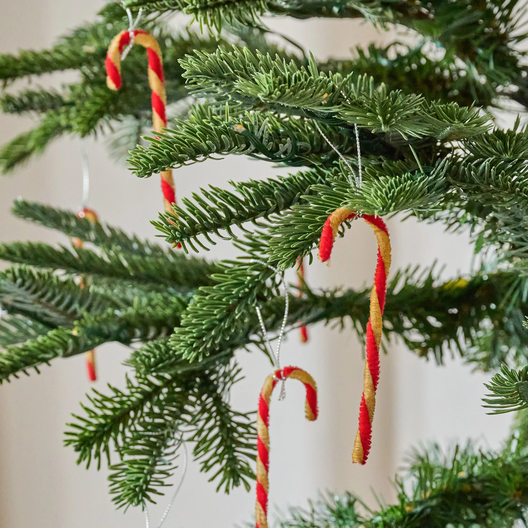 Nostalgic Mini Candy Cane Ornament, Set of 12 | Magnolia