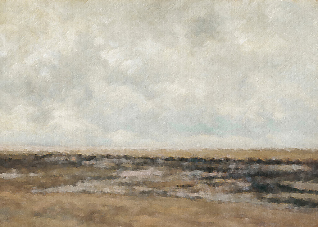 Flat Lands | Cove Prints