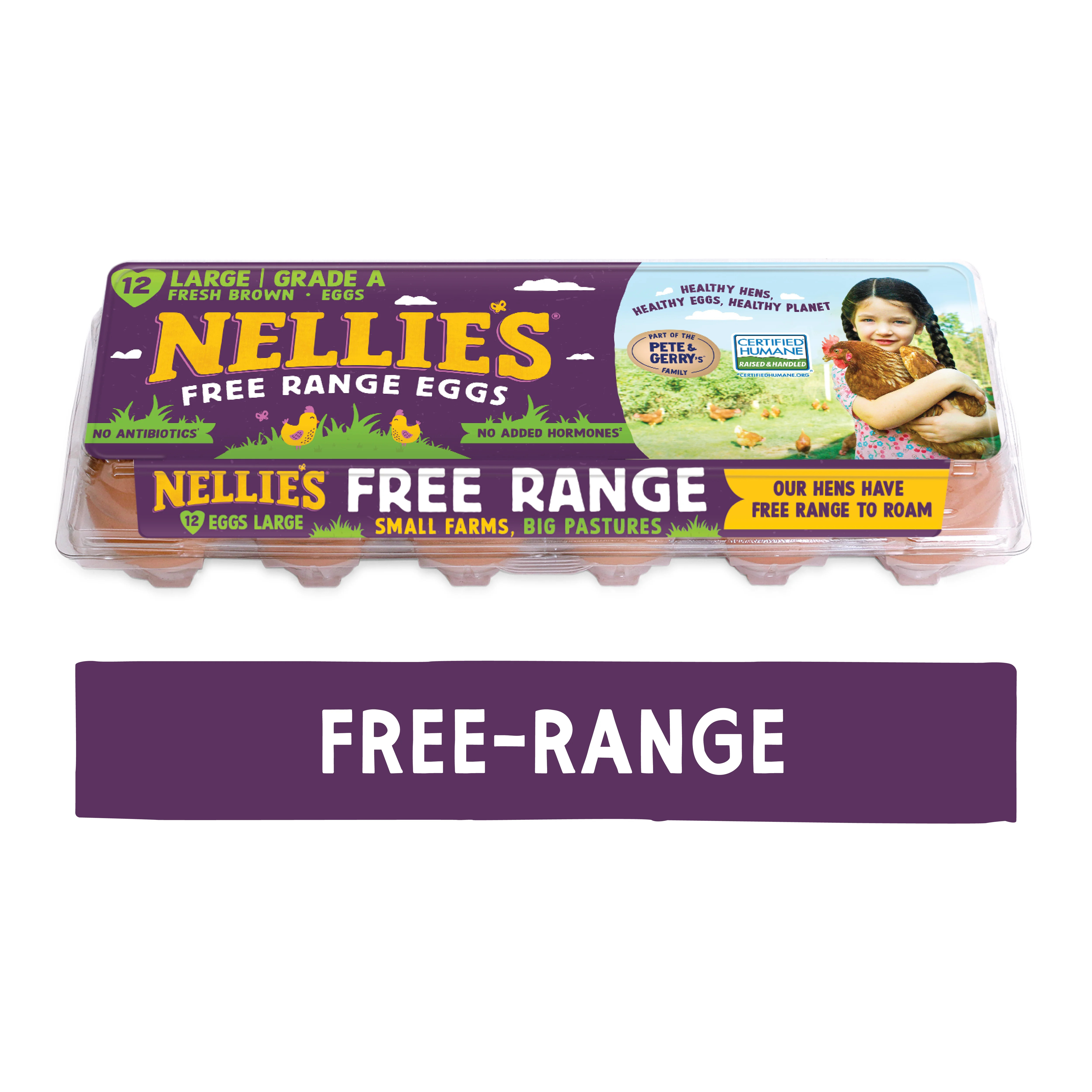 Nellie's Free-Range Large Brown Eggs, 12 Count | Walmart (US)