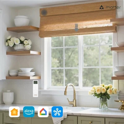 Motorized Window Woven Bamboo Shades | TWOPAGES