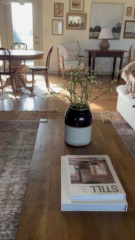 Simple, cozy minimalist coffee table decor 🫶 #coffeetabledecor #cottagehome #springdecor #coffeetable

#LTKhome #LTKSeasonal