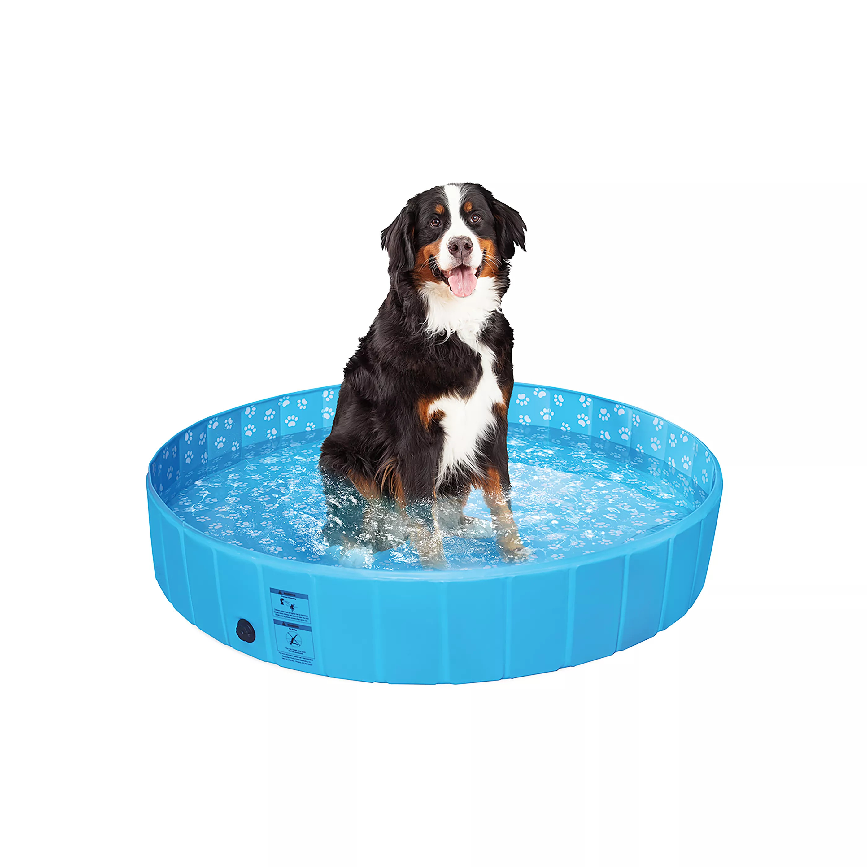 Top Paw® Foldable Pool | PetSmart