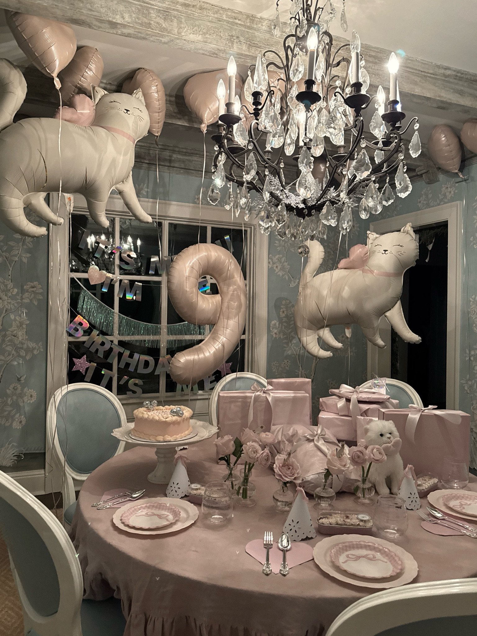 Purrrfect birthday celebrations! 