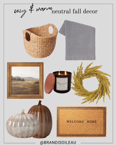Cozy and warm neutral fall decor from target 🍂 

Fall decor, fall 2023, target fall decor 

#LTKstyletip #LTKhome #LTKSeasonal
