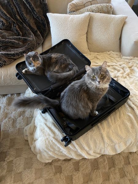 i think the kitties wanna come to france with me 🤪 #suitcase #awaysuitcase #biggercarryon #blacksuitcase #travelessentials #homedecor #bouclepillows #fauxfurblanket

#LTKFind #LTKeurope #LTKtravel