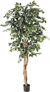 Nearly Natural 6ft. Ficus Artificial Trees, 72in, Green | Amazon (US)