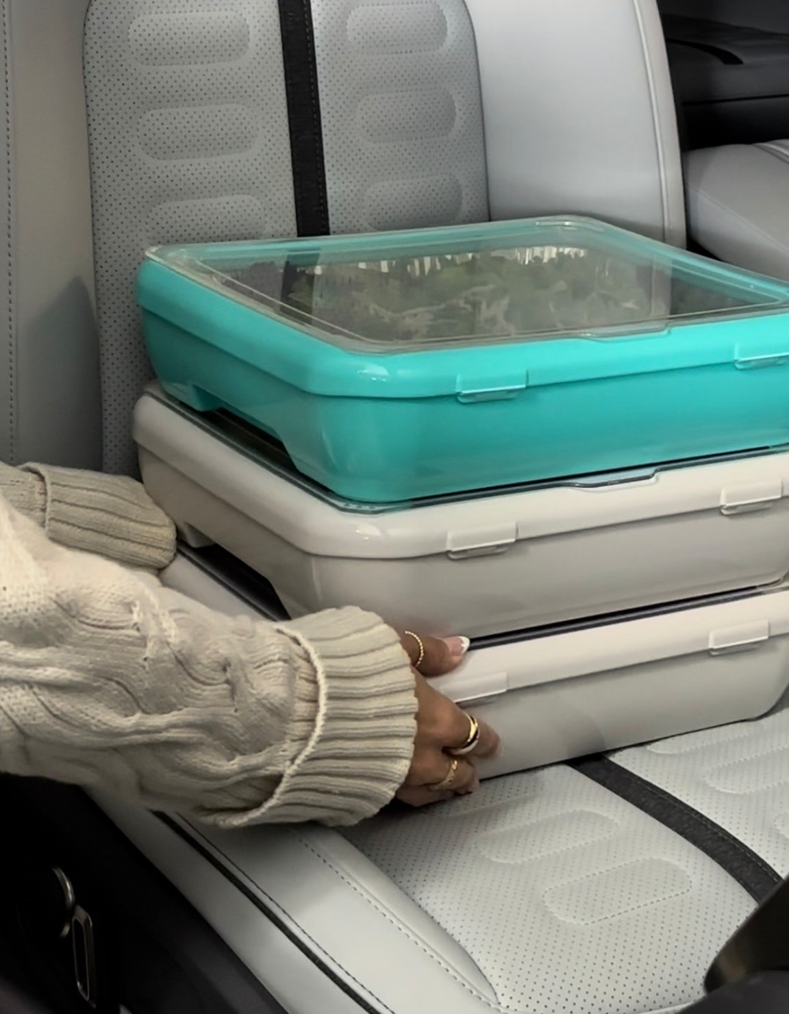 Scroll to shop!! Follow for more!!! Xo! ✨

#LTKFindsUnder100 #LTKFindsUnder50 #LTKHome