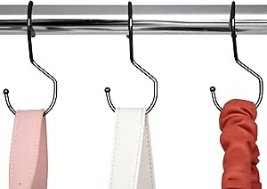 HOME DEPUTY Purse Organizer for Closet - 6 Bag Hooks - Black - Purse Hangers for Closet with Uniq... | Amazon (US)