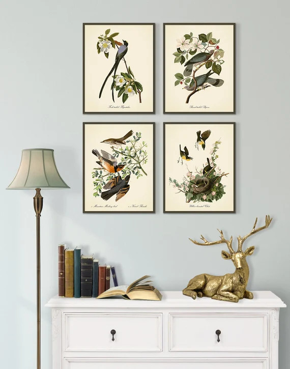 Birds 5 - Antique Bird Print Set - set of 4 - vintage bird art - ornithology print - John James A... | Etsy (US)