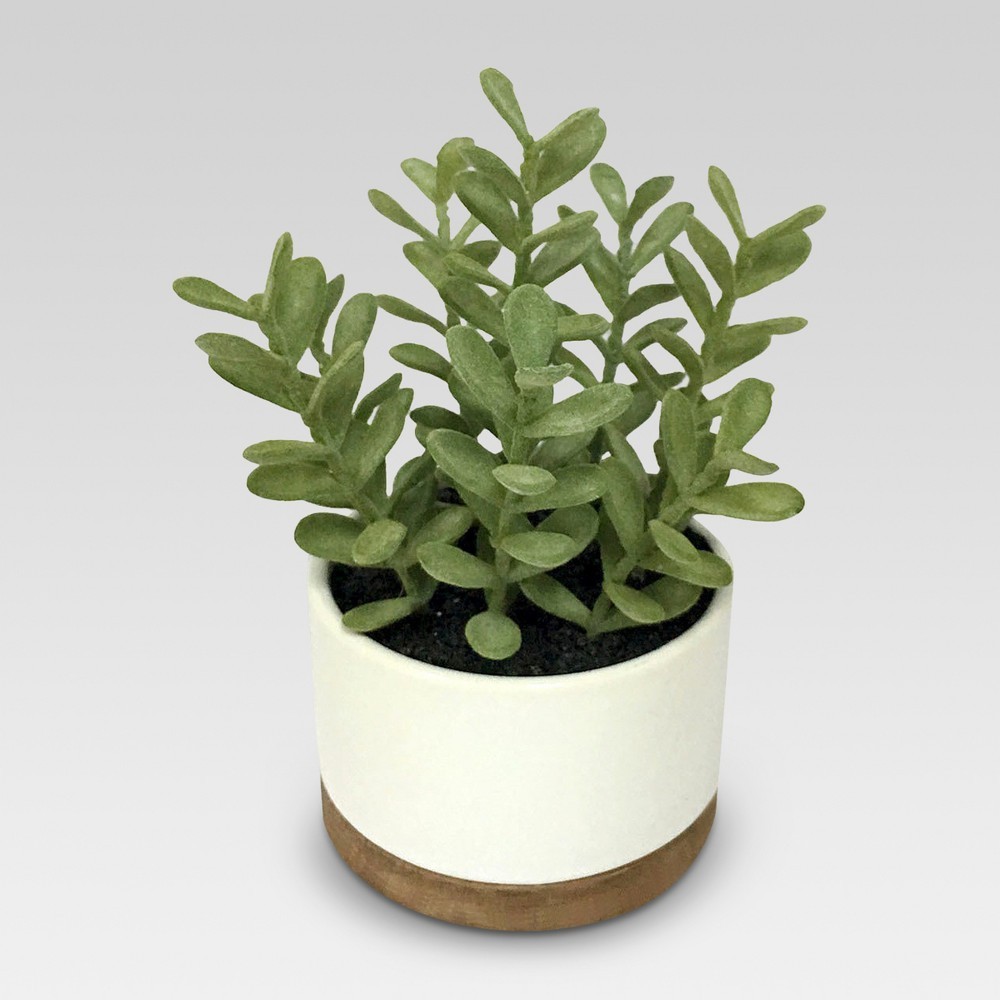 Artificial Plant in White Pot Medium - Threshold | Target