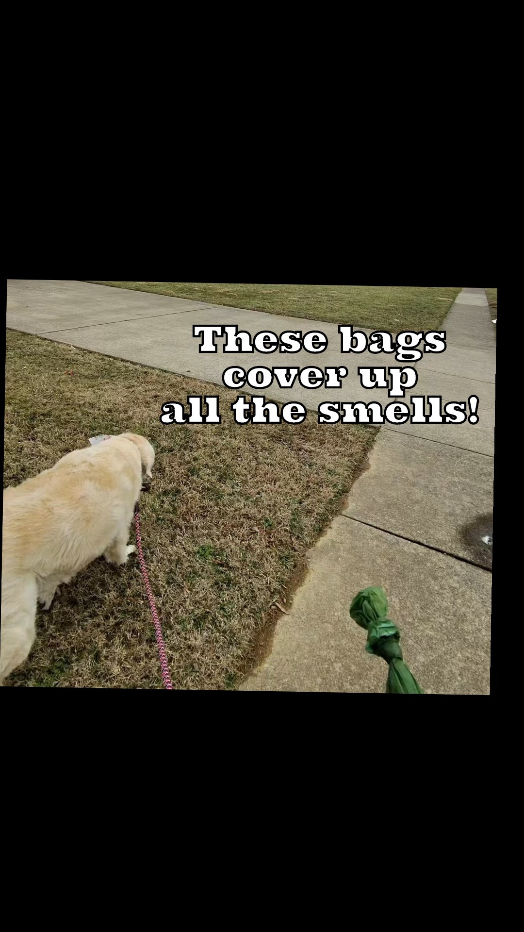 A poo bag that doesn’t vent out the odors….here it is. I’m loving these more & more. It’s also nice to know they won’t break! 

#LTKHome #LTKdayinmylife