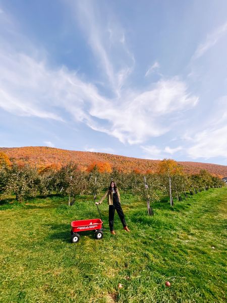 Apple picking in Vermont- with overalls, of course! 🍎 

#LTKSeasonal #LTKtravel #LTKstyletip